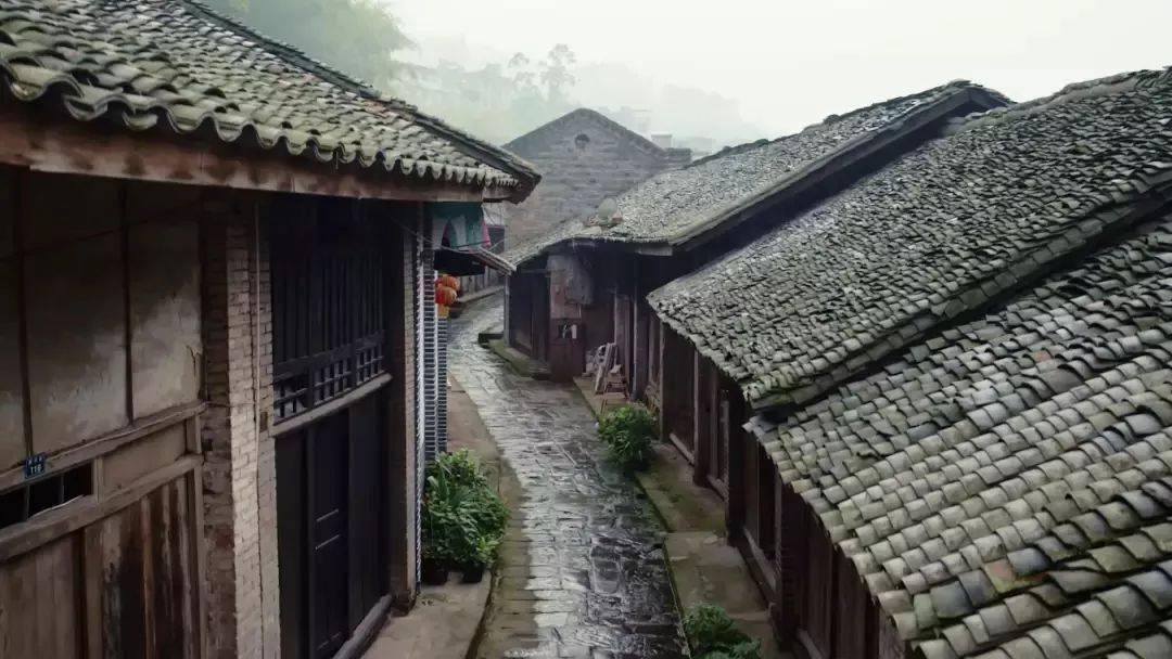 动物记忆大翻牌